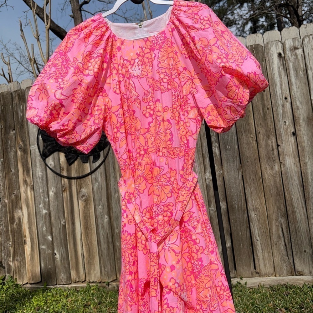 NWOT Lilly Pulitzer Knoxlie Dress Mandevilla Baby Days Bloom Size 12 - Picture 4 of 16